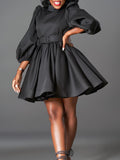 Puff Sleeve Waist Dress